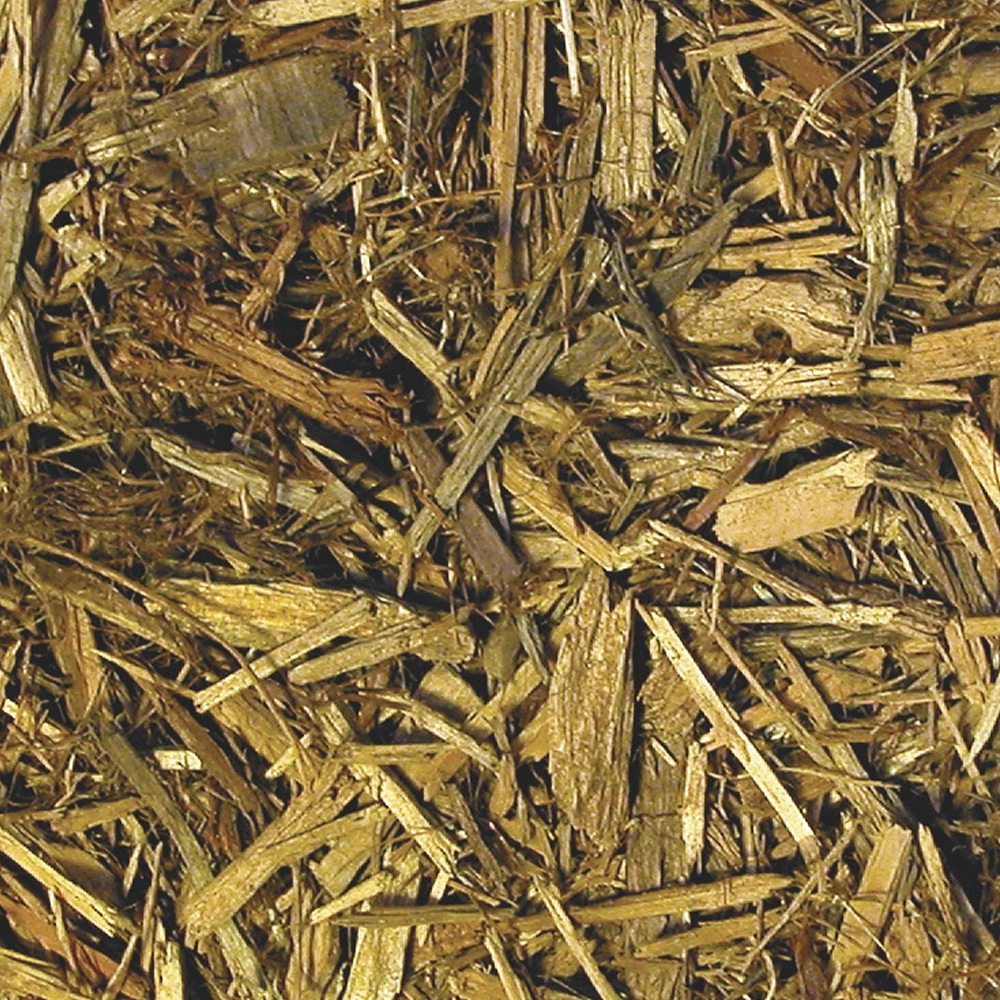 ZOO MED Forest Floor Podłoże Cyprysowe do Terrarium 4,4L dla Gadów Płazów